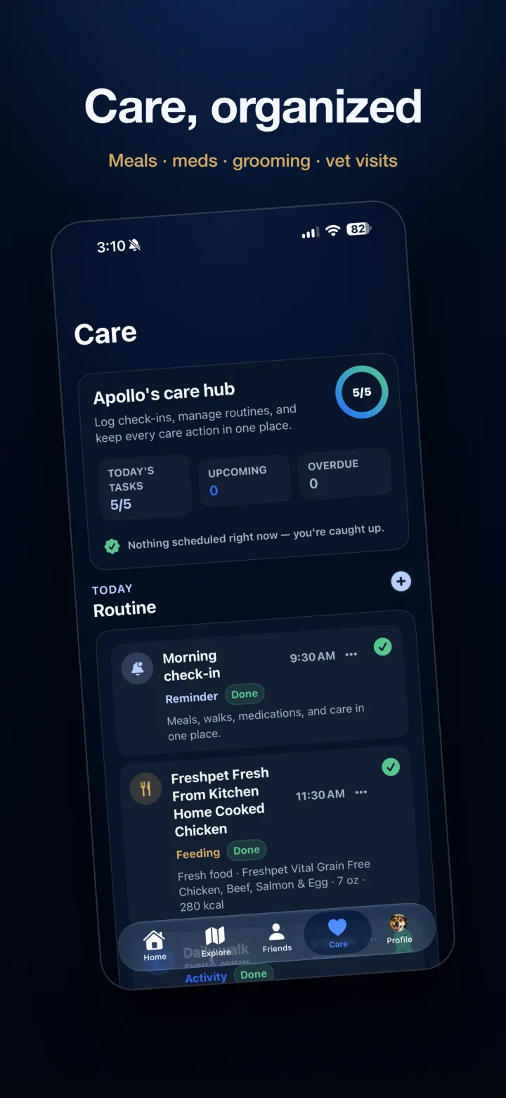 Povalo Care hub showing routines, medications, meals, and completed tasks