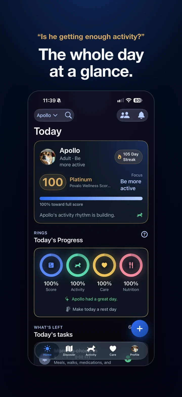 Povalo Today screen with a 100 Wellness Score and four full rings. Headline: Is he getting enough activity? The whole day at a glance.