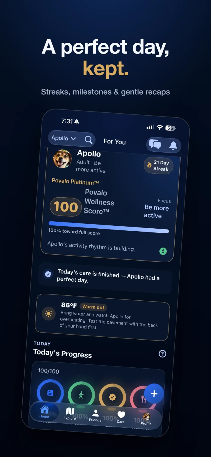 Povalo perfect day recap showing a 100 wellness score, streak, and weather guidance