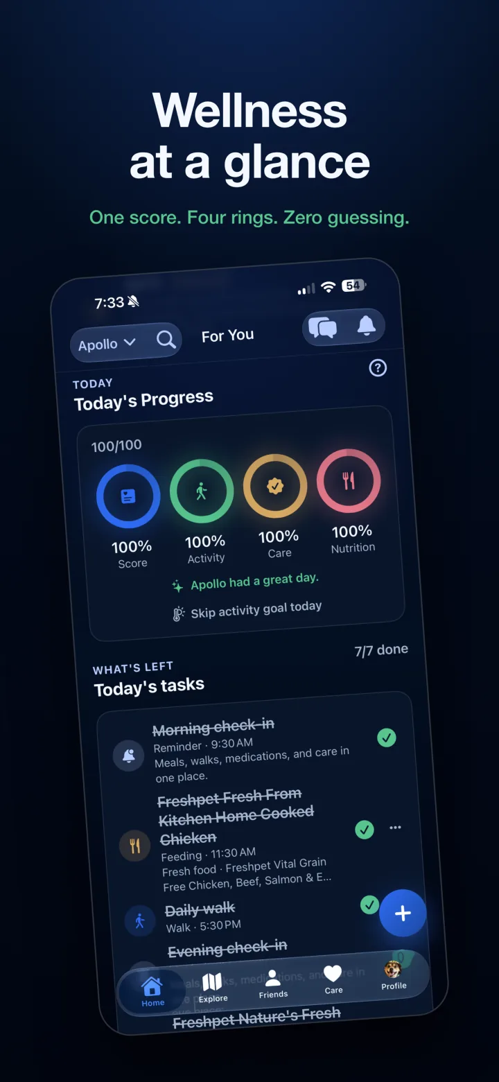 Povalo wellness dashboard showing one score and four completed wellness rings